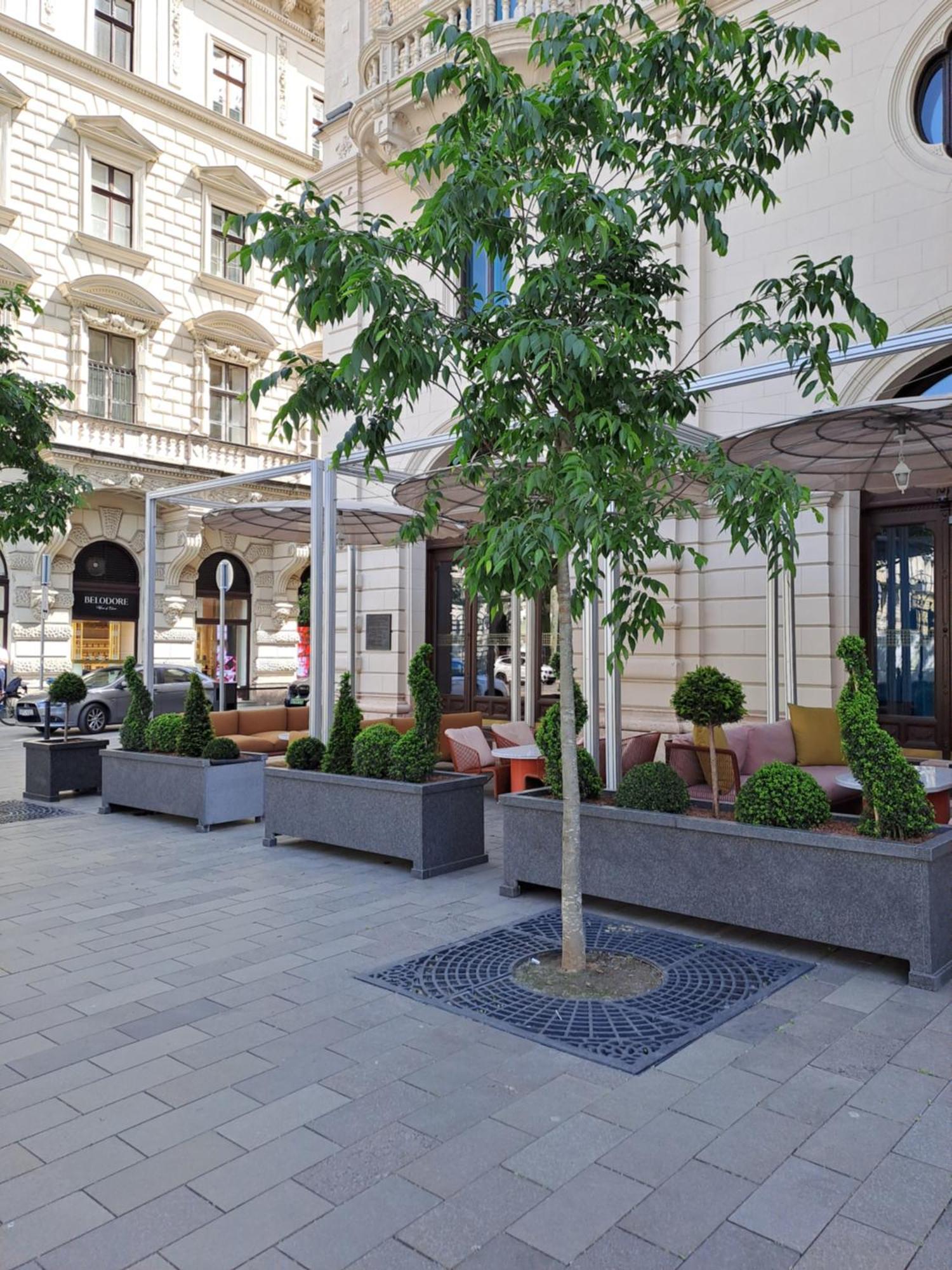 Cute Downtown Apartment Budapest Exteriör bild